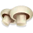 Oyster mushrooms, raw