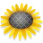 Non-gmo Sunflower Lecithin Granules