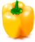 Yellow Bell Pepper