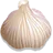 Garlic, fresh