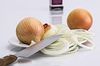 Onions Cooked In Fat