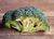 Broccoli Cooked Without Fat