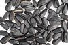 Dry Roasted Sunflower Seeds