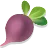 Turnip, raw