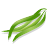 Green beans (string beans), raw