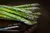 Asparagus, From Fresh, Creamed Or With Cheese Sauce
