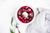 Low Carb Passover Borscht