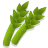 Asparagus, Raw