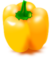 Yellow Bell Pepper