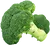 Broccoli Casserole (broccoli, Rice, Cheese, And Mushroom Sauce)