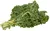 Kale, Cooked, From Fresh, Unknown As To Fat Added In Cooking