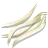 Sprouts Mung Bean