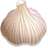 Garlic 1000 Mg