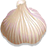 Garlic Raw