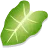 Organic Vegetable Moringa Powder