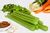 Celery Cooked Without Fat