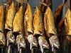 Smoked Mackerel