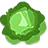 Sauerkraut Select White Cabbage