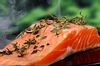 Salmon, baked or broiled, saltwater trout