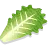 Organic Baby Kale