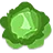 Organic Deep Green Blends Kale