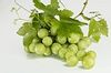 Green grapes