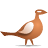 Rice Stuffed Pigeon