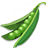 Cooked Dry Peas