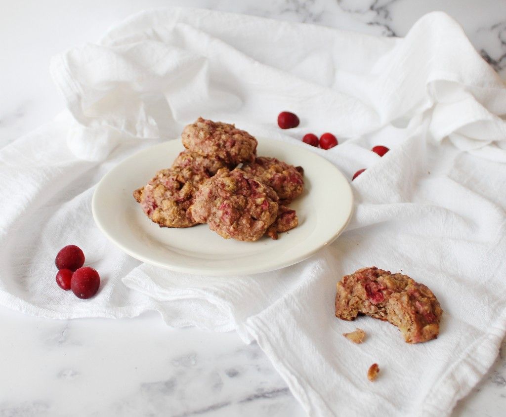 Keto Cranberry Oatmeal Cookies